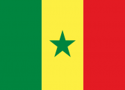 Flag of Senegal