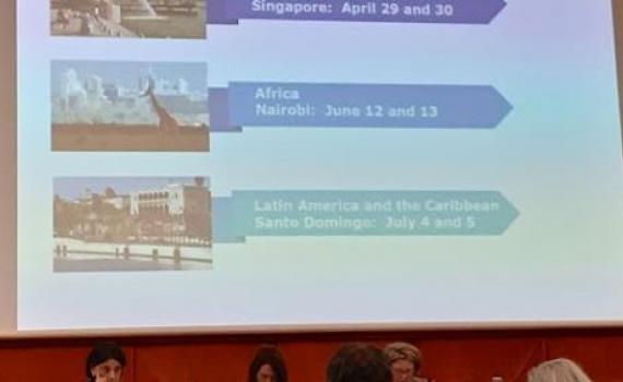 The locations and dates of the three regional seminars are announced during the 38th meeting of the WIPO Standing Committee on Copyright and Related Rights (SCCR/38) in April 2019.